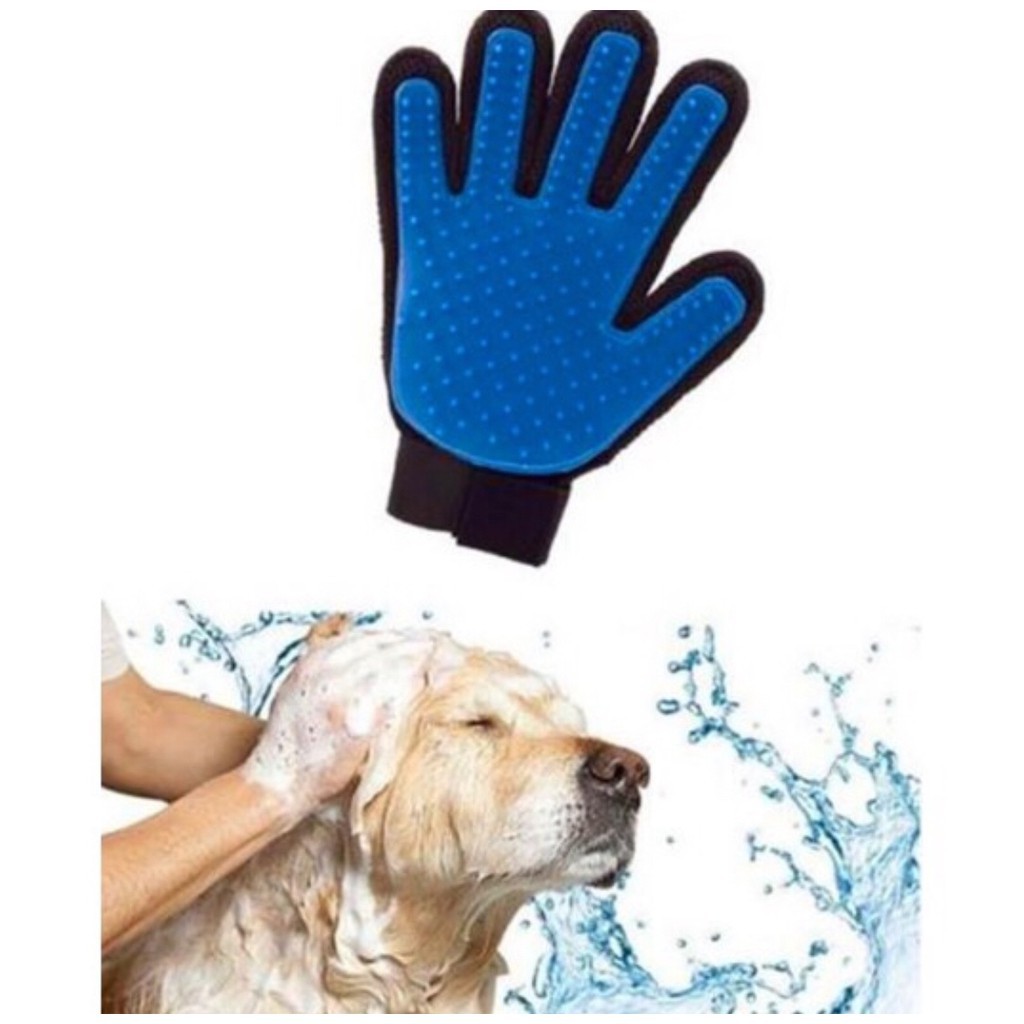 Bàn tay tắm lấy lông cho thú cưng