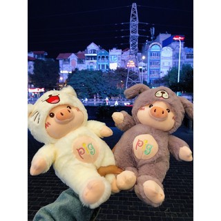 Gấu bông máy gắp gấu