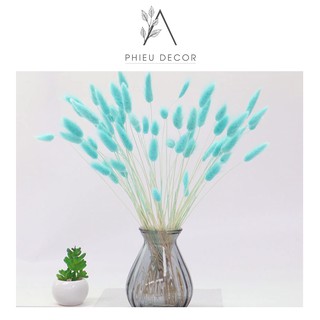 [HOA KHÔ] Cỏ Đuôi Thỏ🌸Trang trí nhà cửa, Phụ kiện chụp ảnh