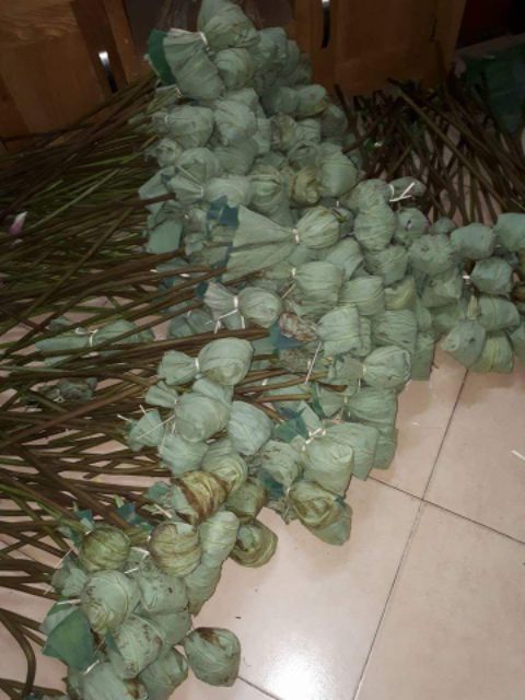 Trà Ướp Hoa Sen Hồ Tây Chính Hiệu!!!!!!😃😃😃😃😃