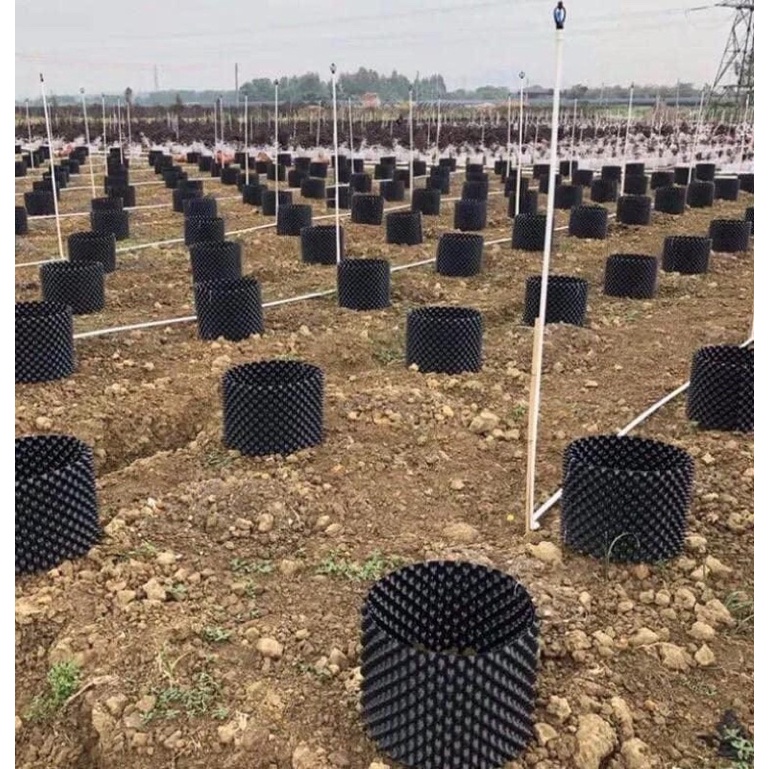 50m bầu v6 cao 20cm( dày 0,6mm) có tặng kèm ốc vít