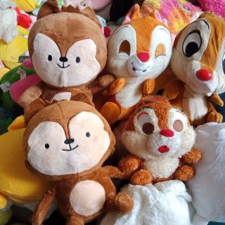 Gấu bông của nho ly