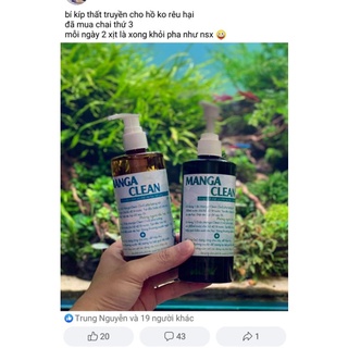 Thuốc diệt rêu hại cho bể thủy sinh