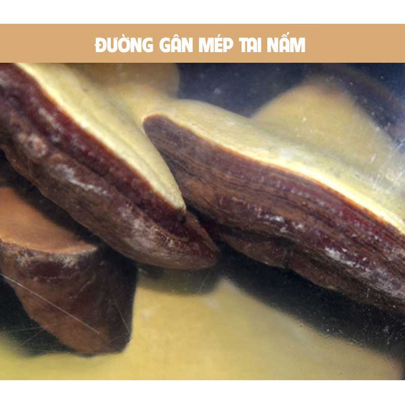 [Xách tay] Nấm linh chi bao tử Hàn Quốc, túi 1kg