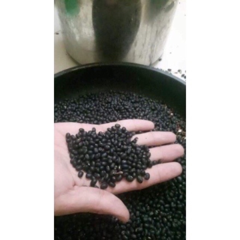111ĐỖ ĐEN XANH LÒNG , đậu đen xanh lòng 1KG   vụ mời 100%