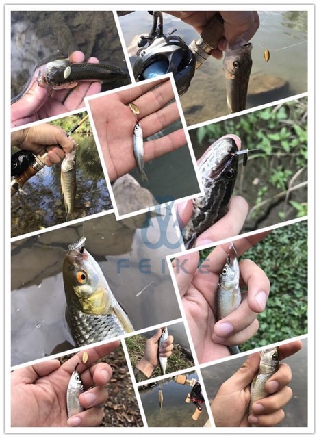 Hộp thìa nhỏ siêu nhạy cá chuyên lure cá mương