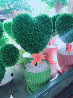 Cỏ may mắn hình trái tim