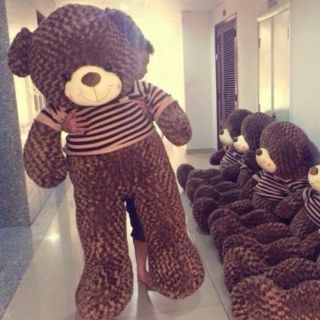 Gấu teddy 2m2