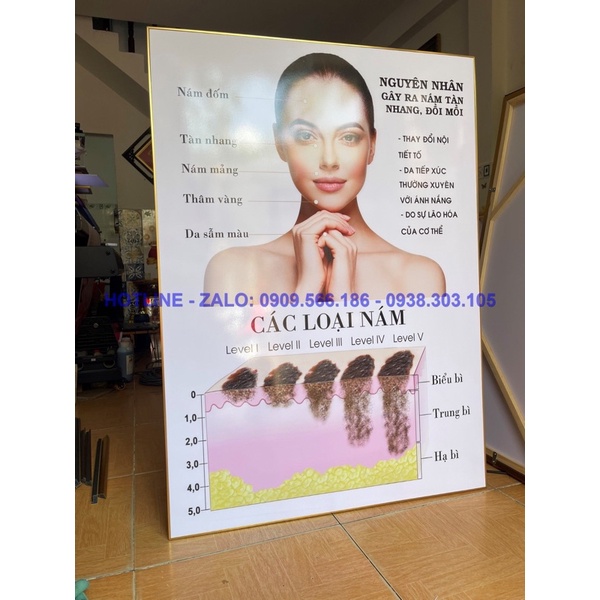KHUNG TRANH SPA THẨM MỸ - CHĂM SÓC DA SANG TRỌNG HIỆN ĐẠI