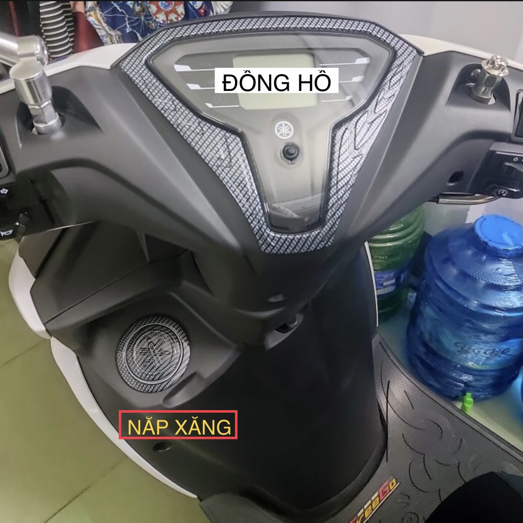 Ôp Xe Freego, Freego S 2019-2023 Carbon, Phụ Kiện Trang Trí xe Freego cacbon