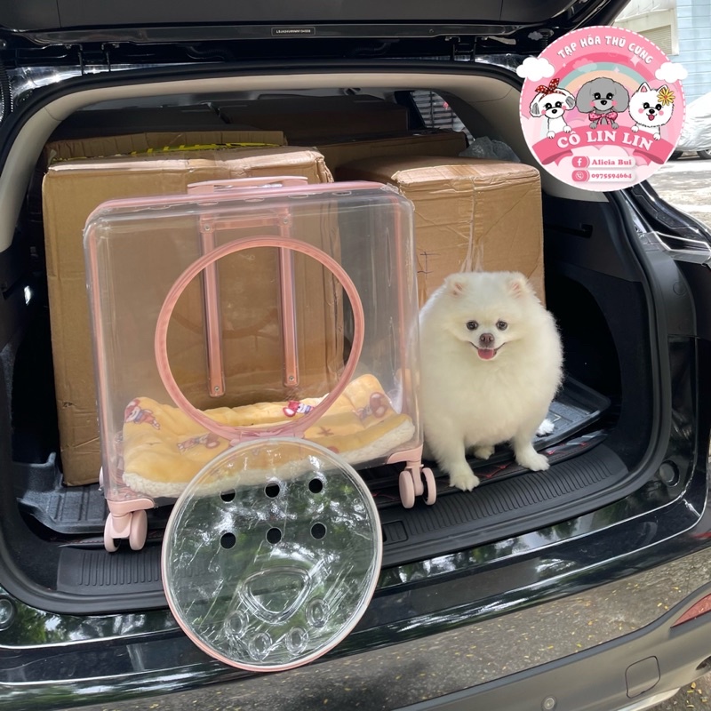 Vali vuông đại trong suốt cho thú cưng có cửa tròn 50*45*28cm