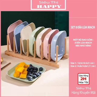 Set 8 đĩa lúa mạch vuông siêu cưng