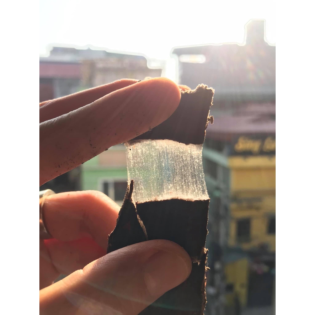 Đỗ Trọng Tứ Xuyên, Quý Châu 300gr