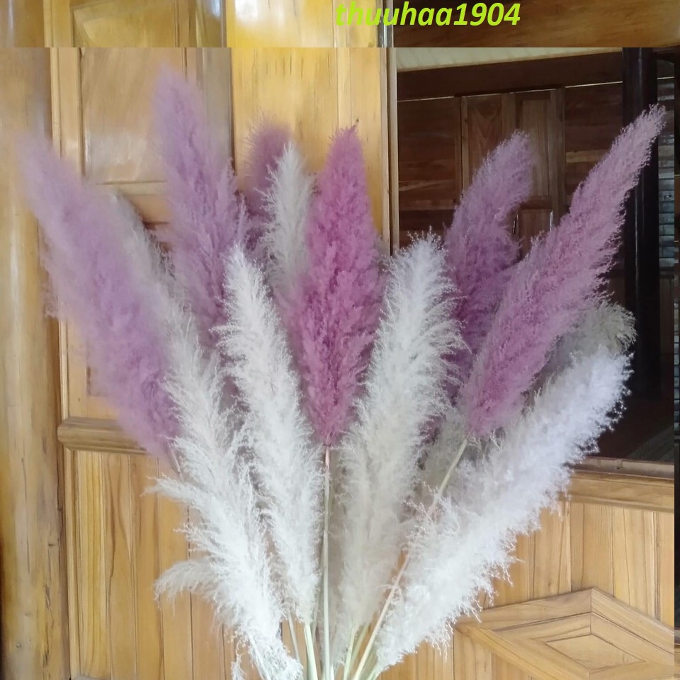 { loại lớn} Hoa trang trí cành lau decor nhà cửa, shop, lau xù màu tự nhiên 1 cành