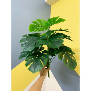 Cây trầu bà lá xẻ cao 70cm, cây giả decor trang trí nhà cửa, văn phòng, homestay