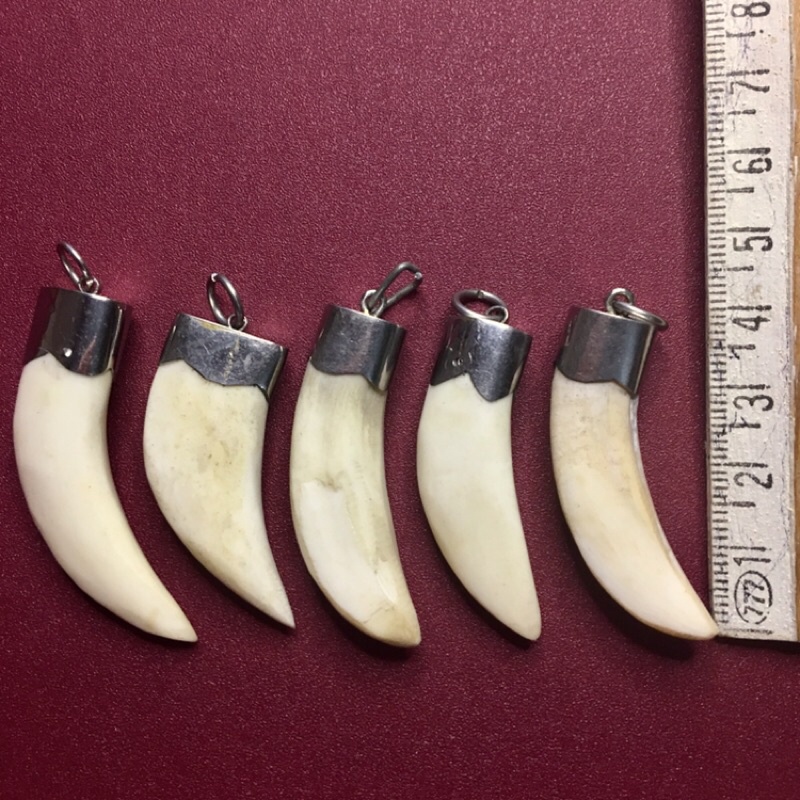 RĂNG NANH LÀM MẶT DÂY CHUYỀN