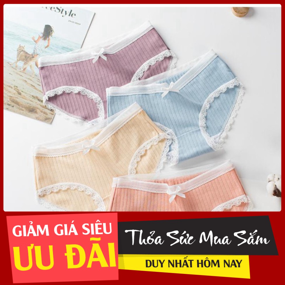 Sỉ Quần Lót Nơ Cotton Nữ Phối Ren Chất Đẹp cực Gợi cảm Rẻ Nhất Thị Trường