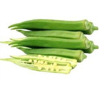 Giống đậu bắp