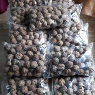 QUẢ ÓC CHÓ