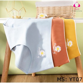 [Ảnh Thật] [Có Ảnh Thật] Quần Lót Cotton Kháng Khuẩn Hoa Cúc Mặc Siêu Mát Mùa Hè