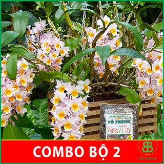 Set 2 Gói Vỏ Thông Vụn , Đã Qua Xử Lý, Trồng Lan, Kiểng Lá, Sen Đá - Combo 2 Gói