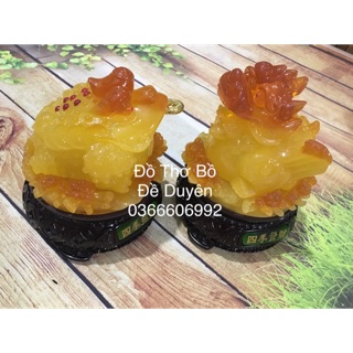 Combo cóc tỳ hưu vàng đậm