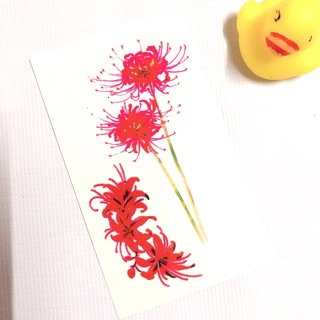 Hình xăm dán hoa bỉ ngạn kết hợp 10x6cm_ mua 5 tặng 1 tattoo xinh