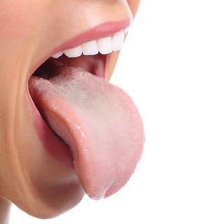 Dụng cụ cạo lưỡi HOFACO