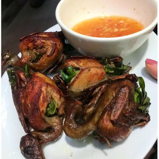 KHAY 10 CHIM CÚT NHỎ
