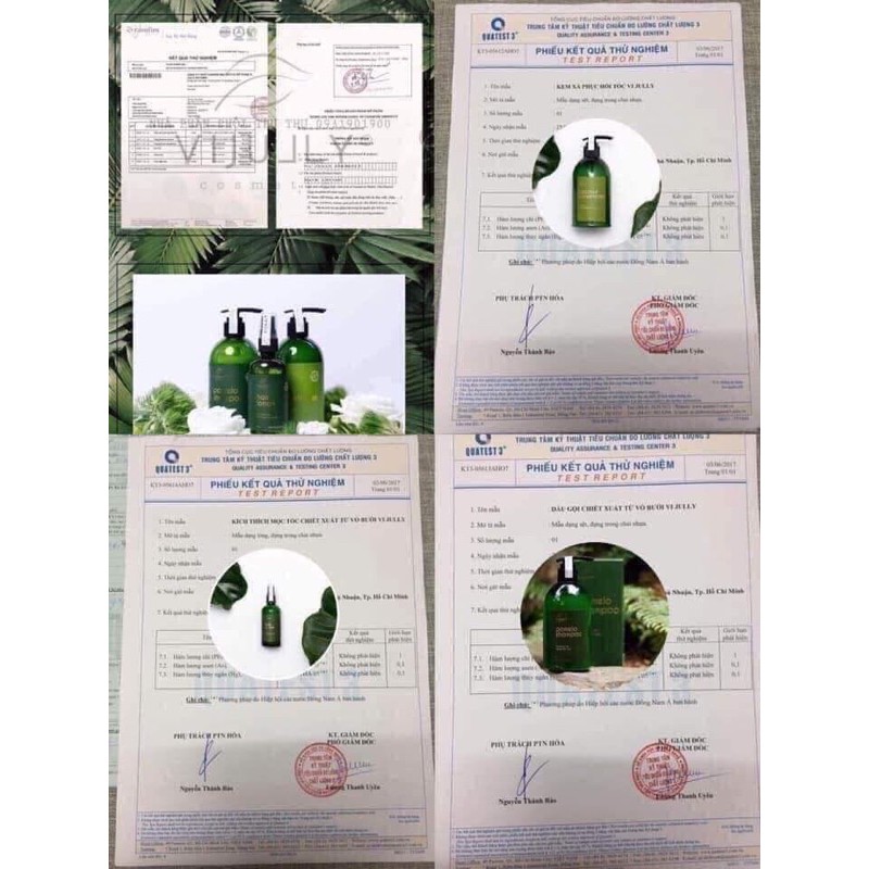 [TẶNG QUÀ XINH] TINH DẦU BƯỞI VIJULLY, KÍCH MỌC TÓC CON, GIẢM RỤNG HIỆU QUẢ | BigBuy360 - bigbuy360.vn