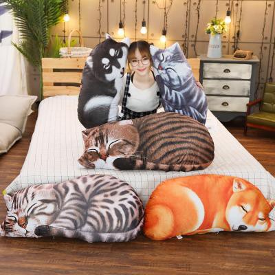 Chó bông cải thảo G2b98 Cabbage Dog gấu mèo bông in 3D dễ thương