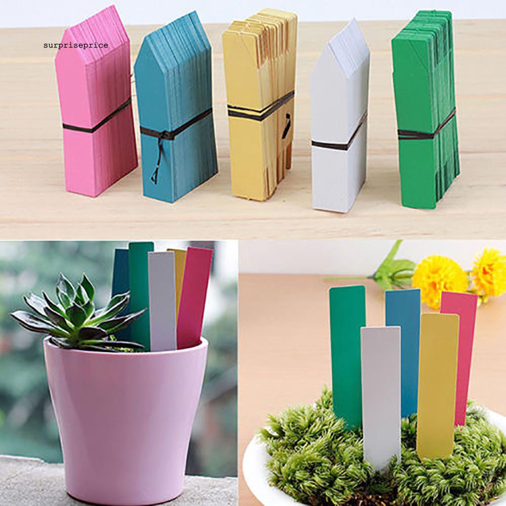 100 thẻ nhựa đánh dấu chậu cây trồng
