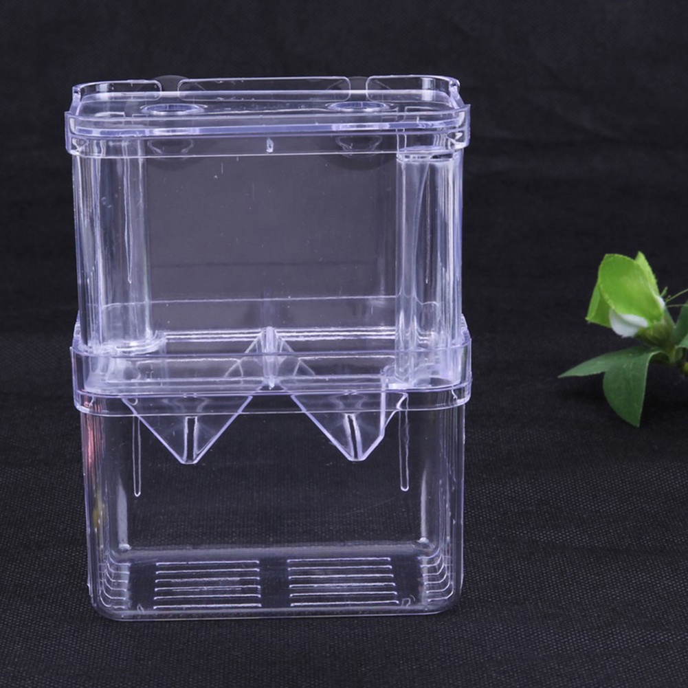 Hộp Ấp Trứng Cá Hai Lớp Bằng Acrylic Trong Suốt