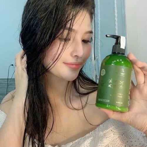 Dầu Gội Mọc Tóc VIJULLY [CHÍNH HÃNG], Dầu Gội Bưởi - Giúp Kích Thích Mọc Tóc,Làm Dài Tóc,Phục Hồi Tóc Hư Tổn | BigBuy360 - bigbuy360.vn