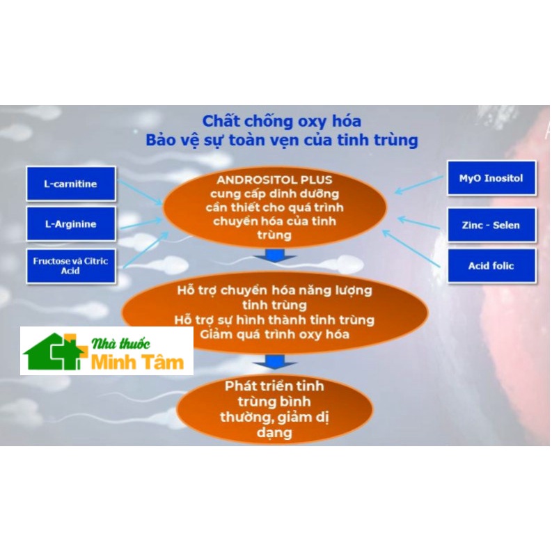 Andrositol Plus  dành cho nam giới