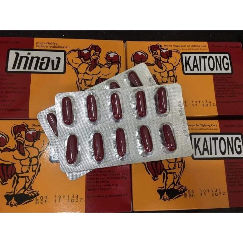 Kaitong- Kích lực trước đá 7/10 ngày cho gà chọi