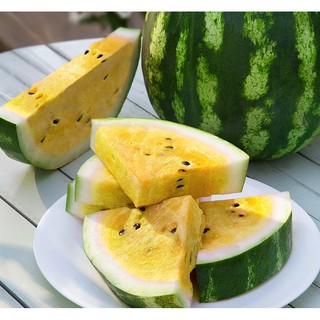 Hạt giống DƯA HẤU CAM RUỘT VÀNG MEDOC F1 - Gói 4 hạt