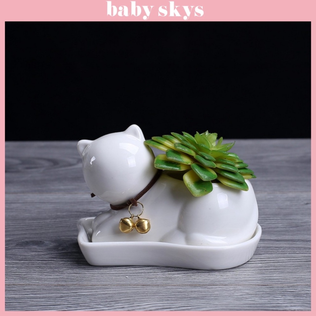 Chậu Trồng Cây Cảnh Mini Sen Đá Xương Rồng Hình Mèo Có Khay Lỗ Thoát Nước