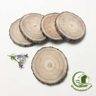 Miếng gỗ tròn - khoanh gỗ tròn trang trí  - gỗ thông tự nhiên - miếng lớn 10cm x dày 1,2cm