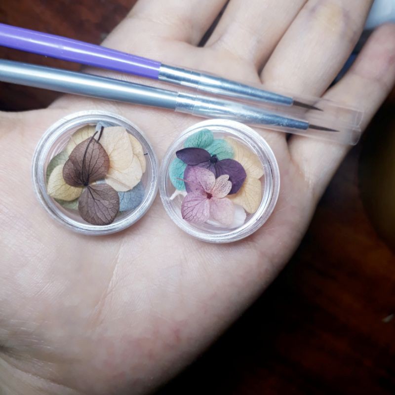 Cọ vẽ nét nhỏ 🖌🖌