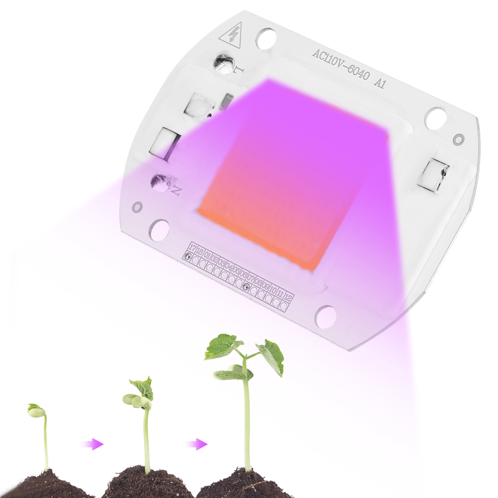 Đèn LED COB chip quang phổ hợp cho cây trồng trong vườn