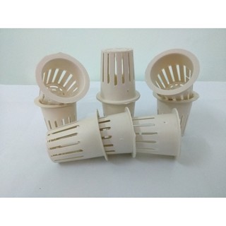 Bộ 100 Rọ Thủy Canh Phi 55 (5.5cm)