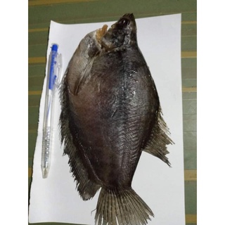 khô cá lò tho(.0,5kg 110k,0,5kg 110k)