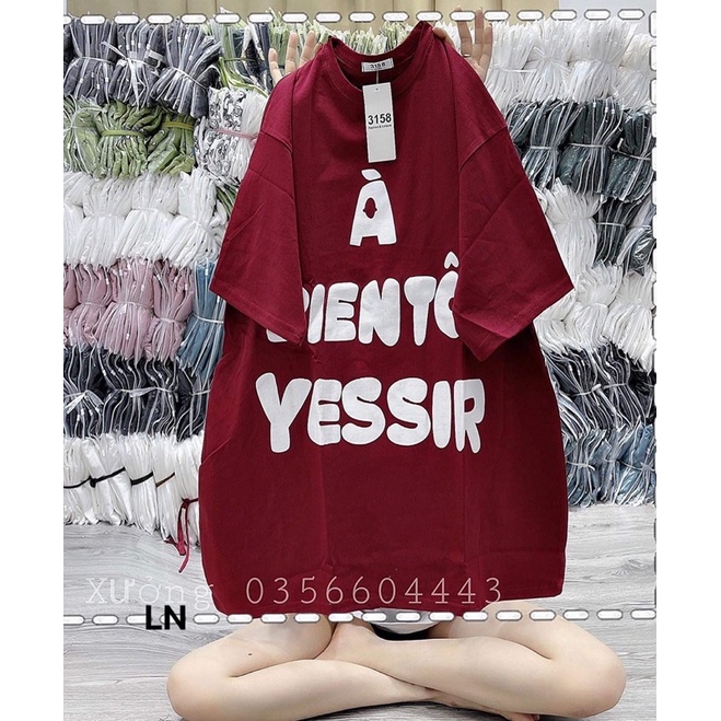 Áo phông YESIR LN12