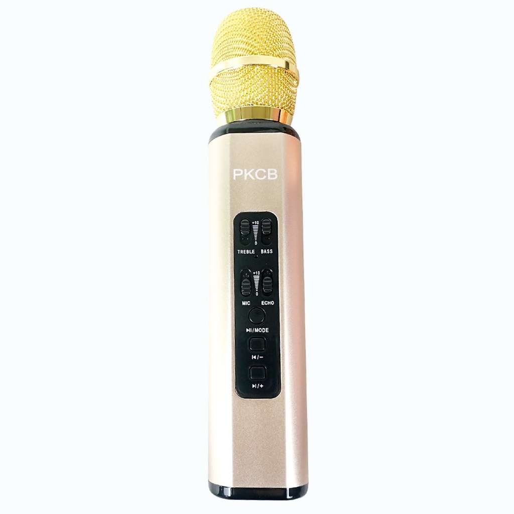 Micro karaoke kèm Loa bluetooth PKCB204 nhập khẩu cao Cấp Cắm thẻ nhớ 3 trong 1 Hàng chính hãng