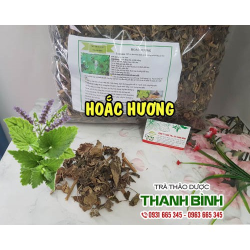 Hoắc Hương 1kg Hàng Công Ty - Dược Liệu Thanh Bình