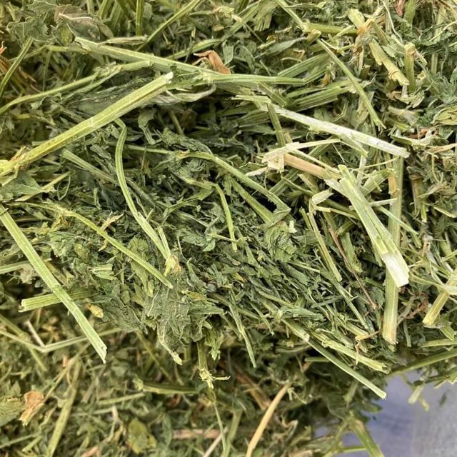 Cỏ khô Alfalfa 500G dành cho Thỏ-Bọ