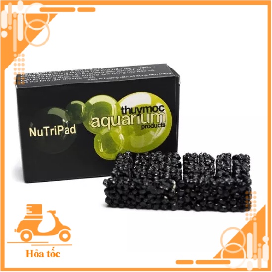 Nutripad thanh giá thể cho Cho ráy, bucep, dương xỉ - hồ thủy sinh