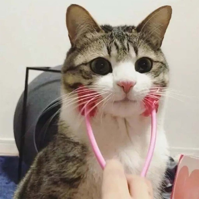 Dụng Cụ Mát Xa Mặt Và Chân Đa Năng Chăm Sóc Sức Khỏe Cho Mèo