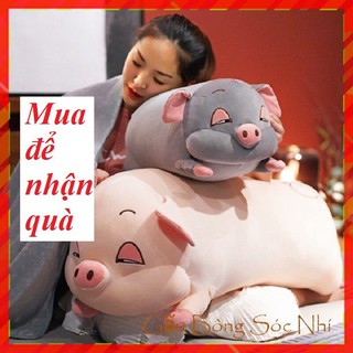 Gấu bông heo ngủ ⚡ freeship ⚡ gấu bông heo phê cần xinh cao cấp 70cm kèm chăn